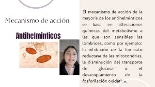 Fármacos Antiprotozoarios y Antihelminticos [upl. by Hgielar775]