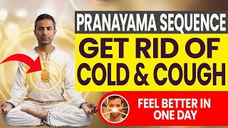 Top 4 Breathing Exercises to Reduce Cough and Cold in One Day  Pranayama Sequence [upl. by Ober719]