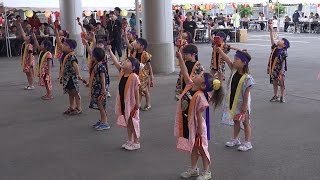 林檎華憐歌◇油川幼稚園◇ゆきわり荘 夏祭り◇20140719 [upl. by Ydiarf406]