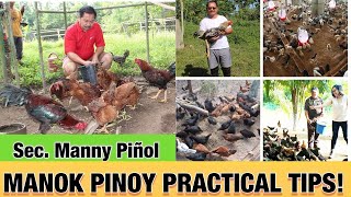 Manok Pinoy Practical Tips by Sec Emmanuel quotMannyquot PiÑol [upl. by Anitnauq655]