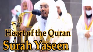 Surah Yaseen with English translation  Sheikh Yasser al Dossari Beautiful Recitation [upl. by Encratia]