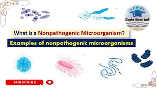 what is a nonpathogenic microorganismexample of nonpathogenic microorganismnonpathogeniclecture [upl. by Phillipp]