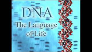 Dr Stephen Meyer  Genetics Proves Design and Disproves Evolution PT 2 of 2 [upl. by Wandis]