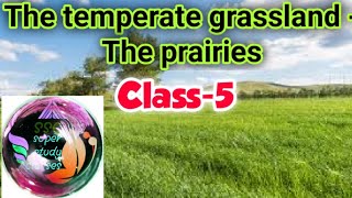 Temperate grasslandsthe prairiesch6class5Sst Geography [upl. by Llehsam]