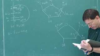 Organic chemistry Carbohydrates 4 [upl. by Bronnie450]