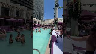 Make a Splash Discover Las Vegas Hottest Pool Scene [upl. by Neeluqcaj]