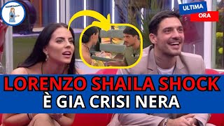 🔥 BOMBA GF LORENZO TRADISCE SHAILA IN DIRETTA E SCOPPIA IL CAOS  JAVIER LA UMILIA 😱 [upl. by Keelin930]