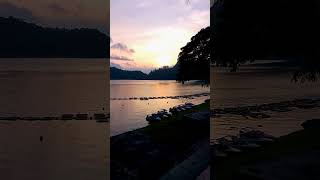 NIKMATNYA SENJA DI IRINGI TONGGERET  CALMING NATURE SOUNDS [upl. by Ashlie]