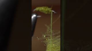 Petejean CDC caddis shorts flytying [upl. by Earesed773]