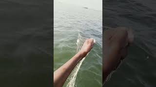 fishing fiish beachfishing fish filefish beach fihing videogama nature fiahing [upl. by Autumn]