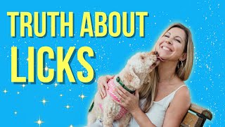 5 HIDDEN Messages Your Dogs Licks Are Trying to Tell You🤔 [upl. by Rosalinda]