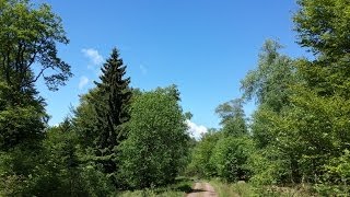 Weerbericht woensdagmiddag Zomer nadert [upl. by Matthews]