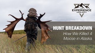 Hunt Breakdown How We Killed 4 Moose in Alaska — The Experience Project EXP013 [upl. by Milan810]