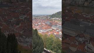 Heidelberg 독일 여행지 추천 독일 독일여행 germany europe germanytrip 유럽여행 heidelberg [upl. by Soilissav]