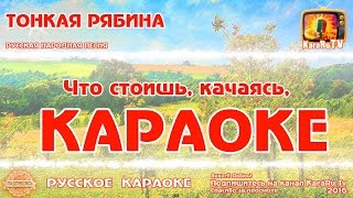 Караоке  quotТонкая рябина quot Русская Народная песня Новая [upl. by Masha]