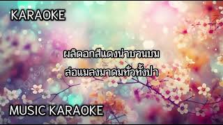 บุษบา  เมนทอล VKARAOKE ต้นฉบับ I MUSIC KARAOKE [upl. by Hareemas646]