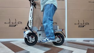 Electric Scooter WEPED miniGO Suspension  대리운전 미니고 서스펜션 [upl. by Barbuto860]