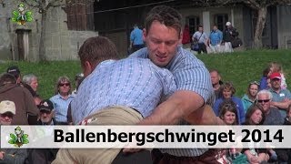 Ballenbergschwinget 2014 [upl. by Einnahc]