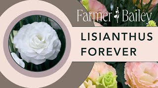 Learn to Grow Lisianthus with Farmer Bailey [upl. by Yonit]