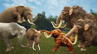 3 Elephants Vs 2 Woolly Mammoth  Elephants Chase Baby Mammoth Saved by Mammoths  The Wild Animals [upl. by Haeckel]