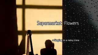 Supermarket Flowers  Ed Sheeran  cover by carl [upl. by Hoshi]