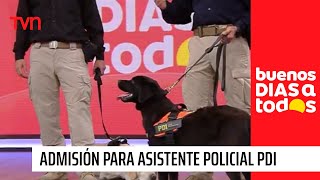 Comienza proceso de admisión para asistente policial PDI  Buenos días a todos [upl. by Sawtelle247]