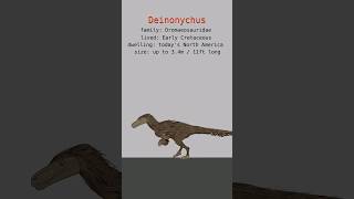 DEINONYCHUS DINOSAURS DATA  Carnivore Dinosaurs  Extinct Animals [upl. by Zoha]