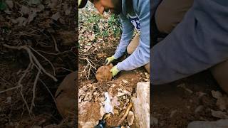 Trovo Elmetto fante Italiano WW1 🪖🙏metaldetecting metaldetector ww1 [upl. by Henn885]