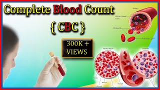 CBC Blood Test  Complete Blood Count Test By Harib Diagnostic Lab [upl. by Naltiac]