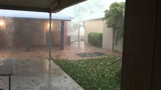 Brisbane storm bring down tree with rain and hail November 27 2014 [upl. by Efi229]