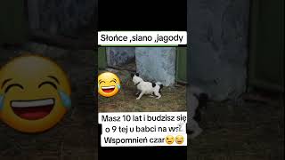 smiesznepodlasie tv1 news film bialystok humorfunny comedyśmieszne news memes uk [upl. by Sibyls]