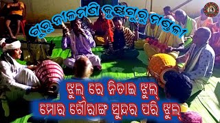 ଭକ୍ତି କୃଷ୍ଣ ଗୁରୁଝୁଲରେ ନିତାଇ ଝୁଲ୍ ନାରୁପଡା କୃଷ୍ଣଗୁରୁ ମଣ୍ଡଳୀAt phalsamunda [upl. by Gaylene]