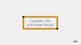 Cannabis 101 Understanding Ruderalis [upl. by Zampino584]