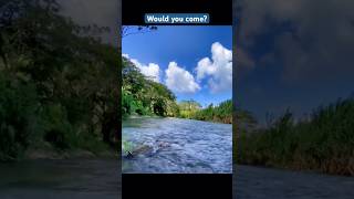 Rio Bueno River Jamaica fyp jamaica river tubing kayaking tubing vacation viralshort [upl. by Gentille981]