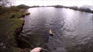 Lure Fishing for Pike UK IMA Komomo 2 90 Sardine GoPro 3 [upl. by Meador819]