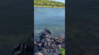 Showing my age Jam on it Striper cape cod canal Just having a little fun 🎣 [upl. by Aikim400]