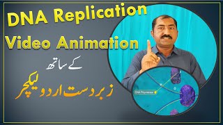 DNA Replication Video Animation in Urdu [upl. by Acimad]