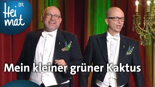 Die Herren Wunderlich Mein kleiner grüner Kaktus  BrettlSpitzen  BR Heimat  Volksmusik [upl. by Thrift]