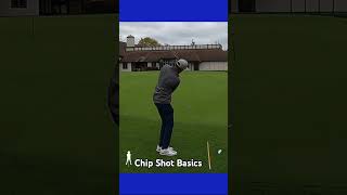 Chip shot basics chippingtips golfshorts shorts youtubeshorts golftips pga [upl. by Llenrahs346]