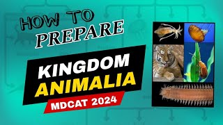 Super Trick to Prepare Kingdom Animalia MDCAT 2024 Mdcat Guidance [upl. by Adnilak]