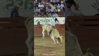 GORRION DE NAYARIT VS TORO MARTEL🐂🔥 jaripeo shorts [upl. by Kawai222]