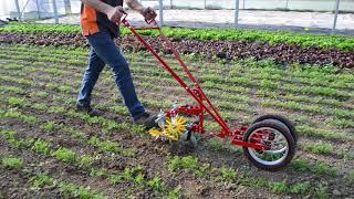 Terrateck  Double wheel hoe cultivator with finger weeder [upl. by Reiniar]