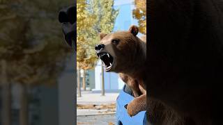 Bear Inside Car in Los Angeles [upl. by Inahs]