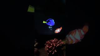 The Seas with Nemo and friends at EPCOT Wonderful entertainmentshortswaltdisneyworld [upl. by Klenk482]