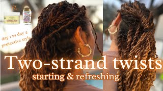 TWO STRAND TWISTS protective style to promote hair growth [upl. by Madalyn]