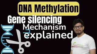 DNA Methylation in Hindi  DNA methylation in gene silencing [upl. by Trellas]