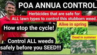 Poa Annua control in home lawns How to kill this stubborn weed [upl. by Trevorr]