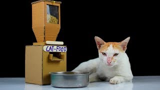 Haz Un Contenedor De Comida Para Gatos ¡Es Fácil Inventos Caseros Diy [upl. by Billen]