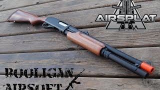 APS CAM870 CO2 Shotgun Overview and Shooting Test [upl. by Aileve500]