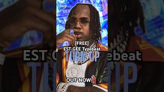 estgee estgeebeat estgeetypebeat hardtrapbeat freestyle freeforprofit beats trap 2024 [upl. by Lanta]